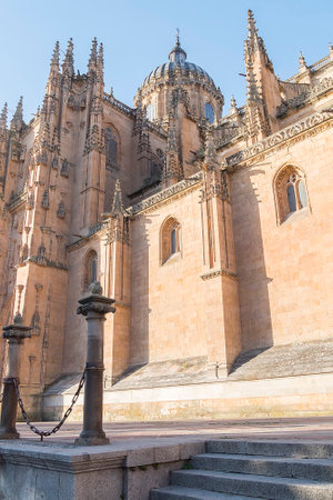 Photo detail of part of the Salamanca catedral in Spain.の写真素材