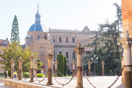 Anaya Palace, actually university building (Salamanca, Spain).のeditorial素材