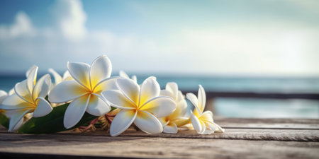 Plumeria flower on wooden table with sea and sky backgroundの素材