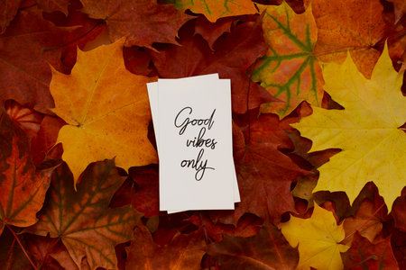 Card with the text "Good Vibes Only" and Colorful Fallen Maple Leavesの写真素材