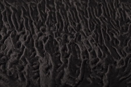 Black sheep fur pattern, close up shotの写真素材