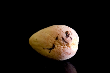 The core of an avocado without skinの写真素材