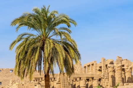 Karnak temple in Luxor, Egypt の写真素材