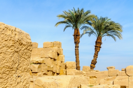 Karnak temple in Luxor, Egypt の写真素材