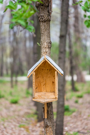 Handwork bird house made of chipboard and zinc in the woods during springの写真素材