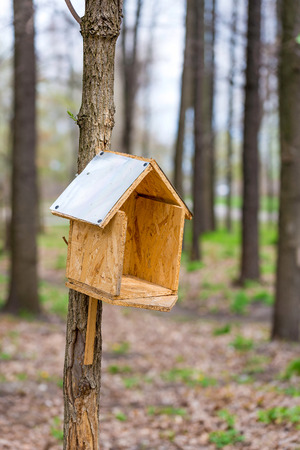 Handwork bird house made of chipboard and zinc in the woods during springの写真素材