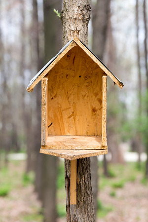 Handwork bird house made of chipboard and zinc in the woods during springの写真素材