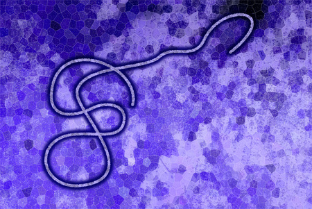 Graphic representation of the Ebola virus on purple background