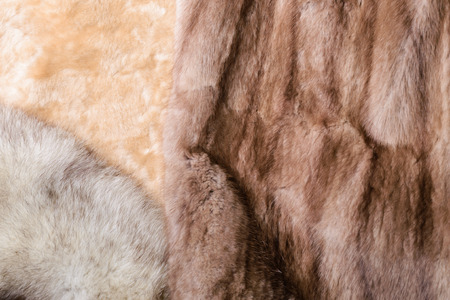 Blond sheepskin, blue fox and red sable mink furs