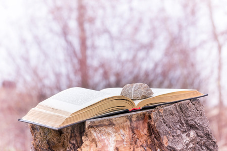 Pink high-key of a stone on an open book put on cut tree close to the river in winterの写真素材