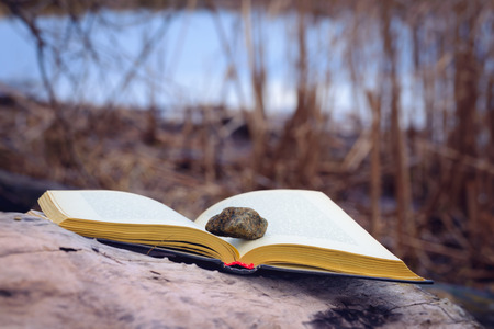 Stone on an open book put on tree trunk close to the riverの写真素材