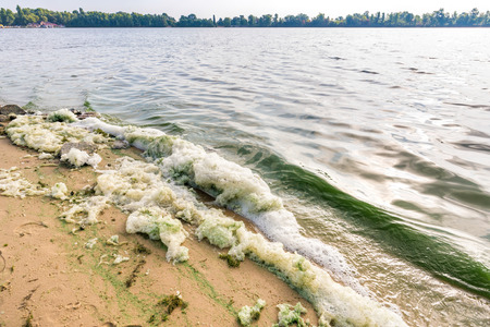 Foam and green algae pollution in the Dnieper river in Kiev