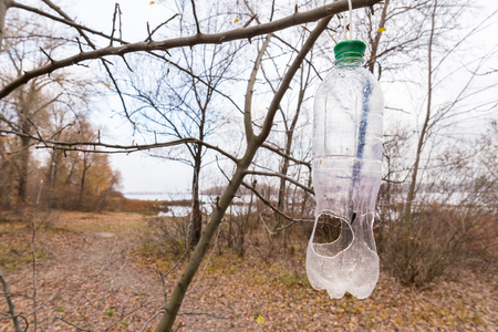 Plastic bottle, in the tree, used as feeder for birds in winterの写真素材