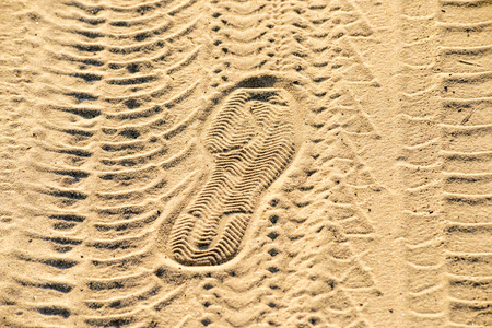 Car tracks, bike tracks and shoe prints in the sand illuminated by the low evening sun raysの写真素材