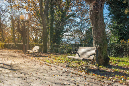 Benches along a cobblestones alley in the park, under the tepid autumnal sunの写真素材