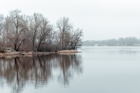 Tree  near the Dnieper River in Kiev. Gray winter day in Ukraineの写真素材