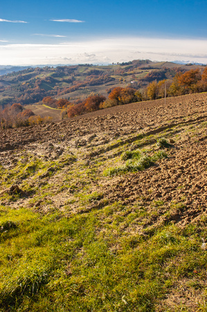 Autumn with yellow and orange trees on the Marche's hill in the Montefeltro region, seen from Belvedere Fogliense between Ricione and Urbino, in Italyの写真素材