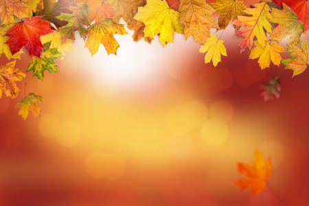 A frame made with autumn leaves and sunny bokeh backgroundの写真素材