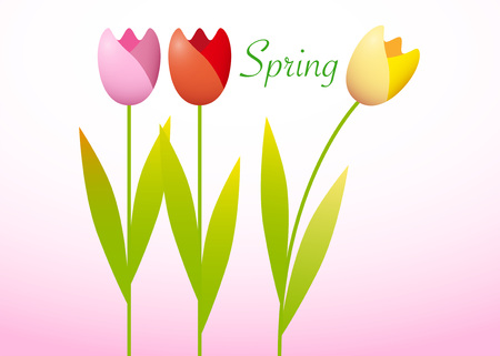 Three colorful tulips on a spring backgroundのイラスト素材