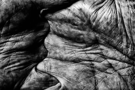 Black and White photo of senior man hands with crossed fingers on dark backgroundの写真素材
