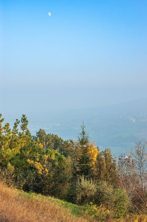 Various trees on the hills of Montefeltro, in the Marche region of Italy, between Pesaro and Urbino. The moon appears in the skyの写真素材