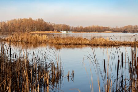 View of  a little house close to the Dnieper river in Kiev, Ukraine, in winter under a clean blue sky. Plants and reeds in the forground.の写真素材