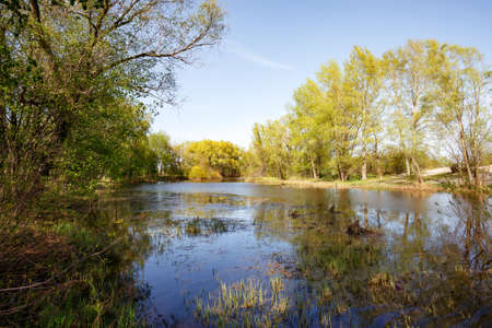 Nice and quiet spring day close to the Dnieper river. Young green leaves are growing on the trees under a tepid sun. Blue water and soft clouds in the sky.の写真素材