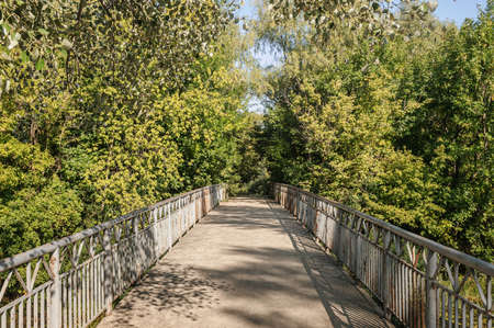A bridge through the trees in the Ukrainian country side, during summerの写真素材