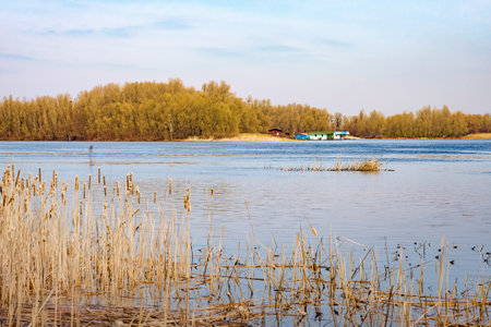 Little house close to the Dnieper river in Kiev, Ukraine, at the beginning of spring, under a light blue skyの写真素材