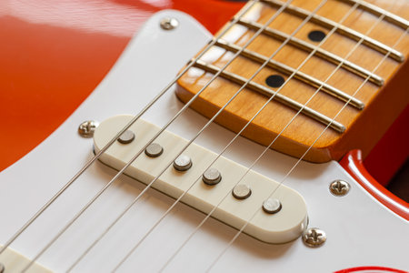 Detail of the neck, the pickup and the strings of a red electric guitar