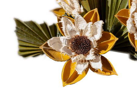 Detail of a decorative yellow and white flower, isolated on white backgroundの写真素材