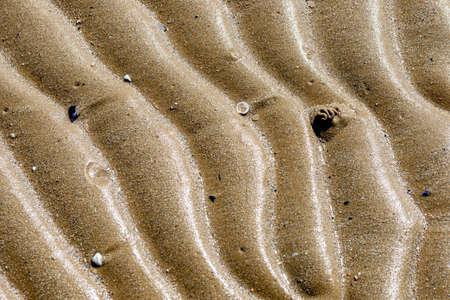 Sand texture on the beach close to the Adriatic sea in Italy