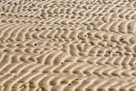 Sand texture on the beach close to the Adriatic sea in Italyの写真素材