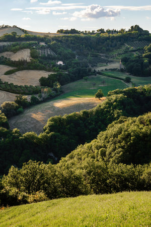View of the fields and trees near Belvedere Fogliense in the Marche region of Italy, at evening before the sun sets.の写真素材