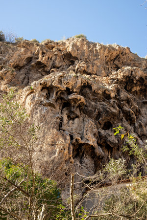 Detail of the cliff over Cotignac, a French village in the Var department of the Provence-Alpes-CÃ´te d'Azur region. It is famous for its troglodyte dwellings that are carved into tufa cliffs covered with large stalactites, and its two feudal towers from 1033.の写真素材