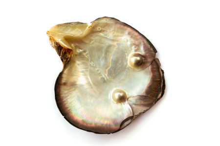 Mother of pearl oyster, with two pearls, isolated on white backgroundの写真素材