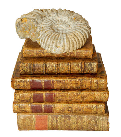 Pile of antique books with a leather cover and golden ornaments, with an ammonite on the top, on isolated on white backgroundの写真素材