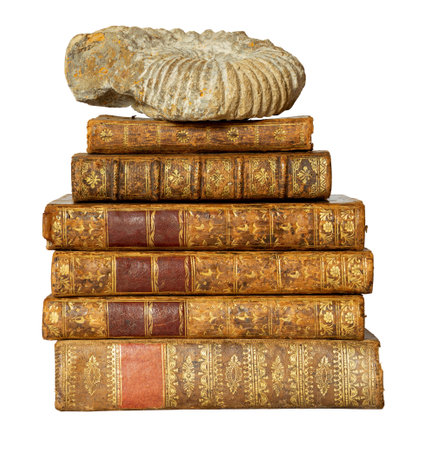 Pile of antique books with a leather cover and golden ornaments, with an ammonite on the top, on isolated on white backgroundの写真素材