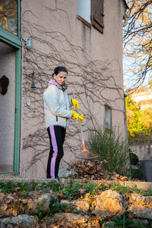 Woman gardening, collecting autumn leaves with a rake in early winter, in Provence, a region of southern France.の写真素材