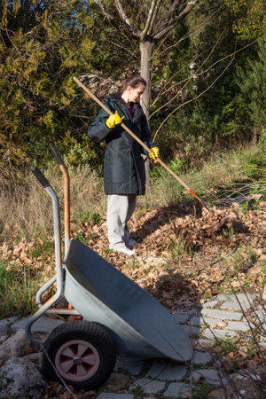 Woman gardening, picking up the fallen autumn leaves with a rake at the beginning of winter, in Provence, a region of the southern Franceの写真素材
