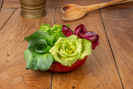 Four salads in a cup on an antique wooden table: green grumolo chicory, radicchio from Chioggia, radicchio from Castelfranco and curly salad.の写真素材
