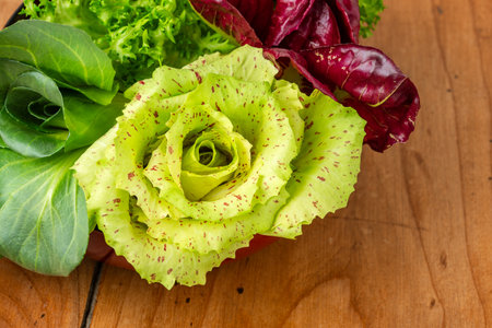 Four salads in a cup on an antique wooden table: green grumolo chicory, radicchio from Chioggia, radicchio from Castelfranco and curly salad.の写真素材