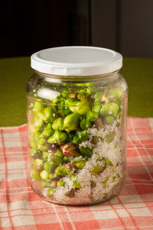 Capers buds preserved  in a jar with salt, to be used as pickle or seasoningの写真素材