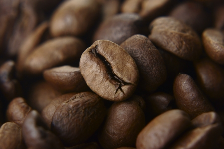 Coffee beansの写真素材