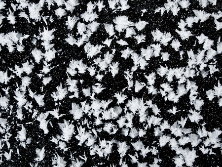 White snowflakes on black ice.