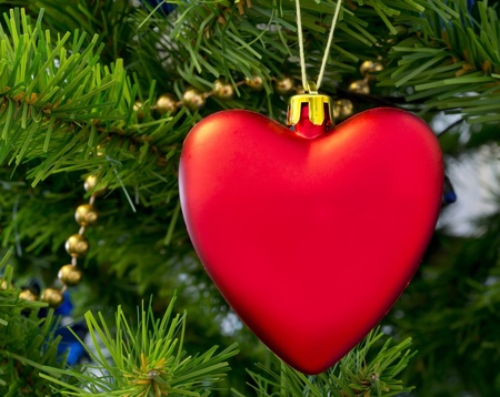 The Christmas-tree decoration in the form of red heart hangs on a green fur-tree branch.の写真素材