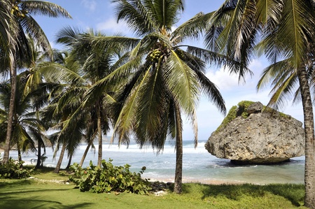 Barbados Karibik の写真素材