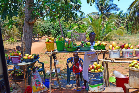 Excellent fruit is for sale on the roadside in Mozambique.のeditorial素材