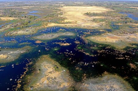Okavango Delta, Botwana, Africaの写真素材