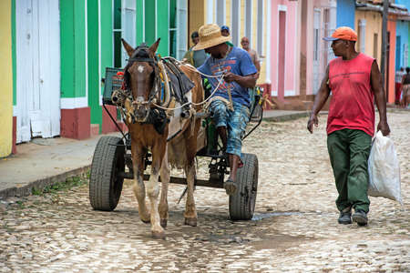 Cuban team of horses in Trinidad